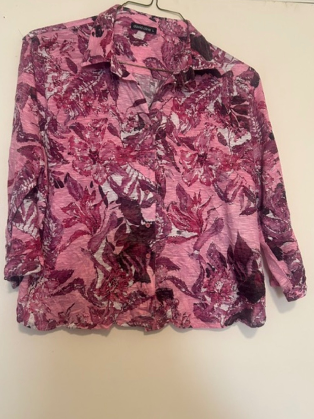David Cline Snap button up blouse
